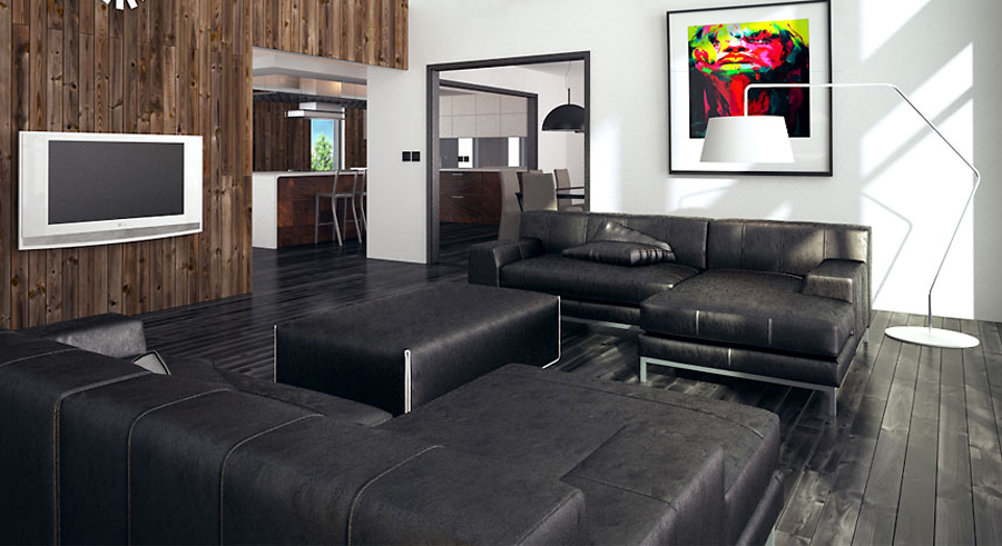 contemporary-house-plans_003_house_plan_CH410.jpg