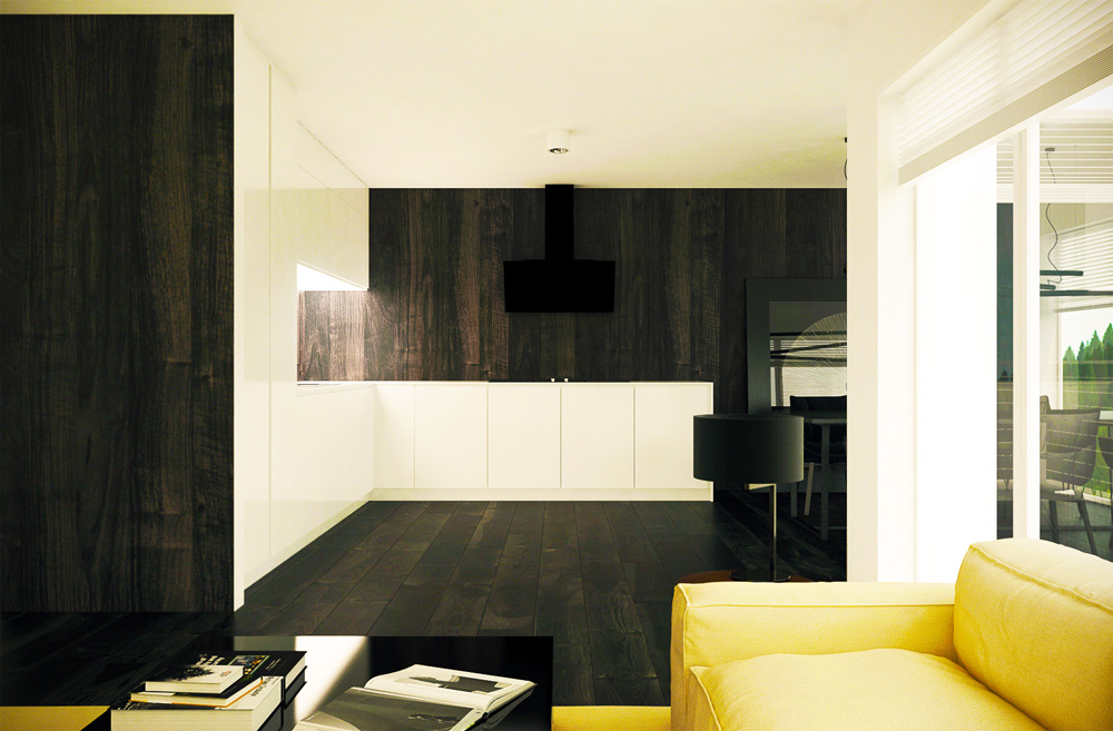 contemporary-house-plans_09_house_design_ch353.jpg