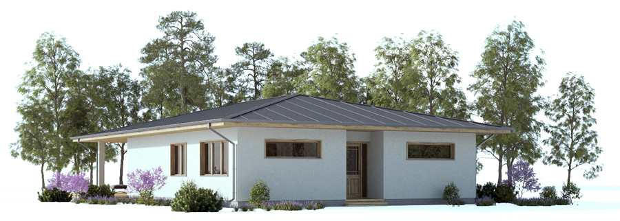 affordable-house-plans_04_house_plan_ch385.jpg